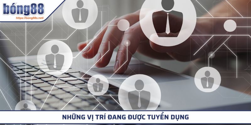 Tuyển Dụng BONG88 2 Những vị trí đang được tuyển dụng